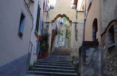 La Mimosa di Bellano - Foto 6