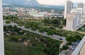 alcotan 2 - Photo 30