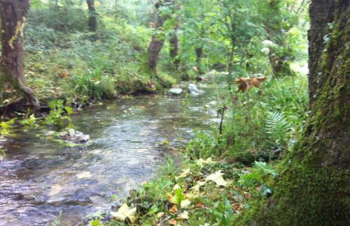 Lake House St Pee Sur Nivelle - Foto 23