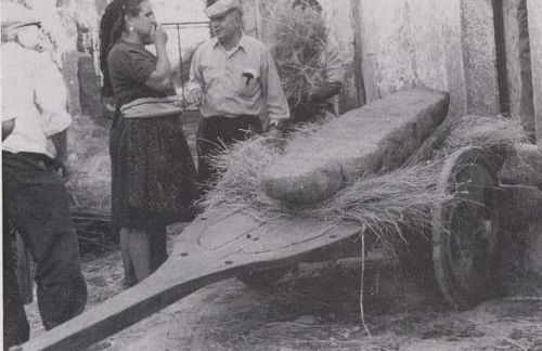 Casa do Carvalhal - Foto 49