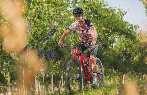 Agriturismo Sarca House - Foto 23