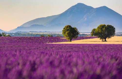 Joli T2 Jardin, entre mer/verdon - Foto 8