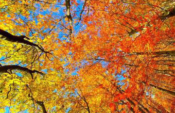 APARTAMENTY SZYNDZIELNIA - 2 Sypialnie & BALKON & PARKING IDEALNE MEJSCE W BASKIDACH dla RODZINY - Foto 70