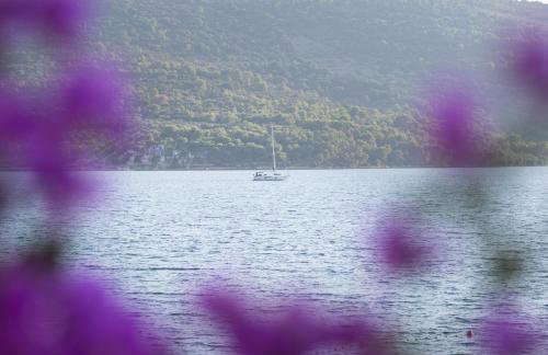 Villa Opatija - Photo 57