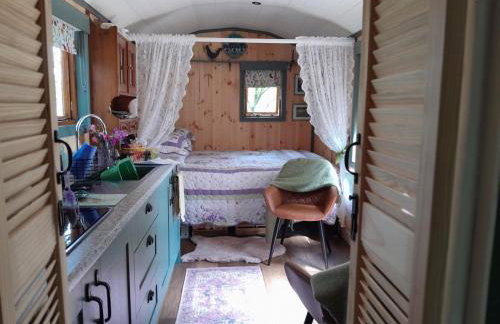 Little Greenwood Shepherd Hut - Sleeps 2 - Foto 27