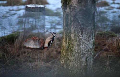 Lodges at the Mains - Photo 25