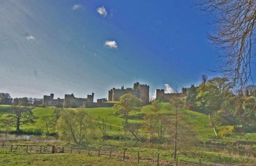 New Bakery - Foto 12