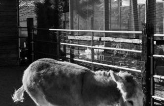 3 Bedroom Ranch -Hot Tub -Walk to P&H and Red Dog - Foto 27