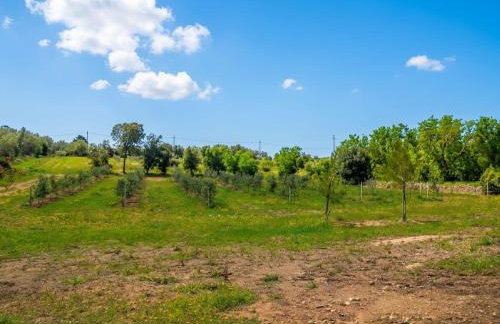 Masseria Causio - Photo 30