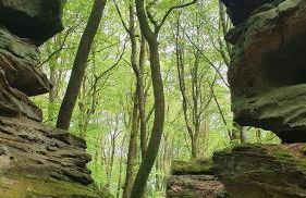 Modernes Studio in Irrel - Foto 17