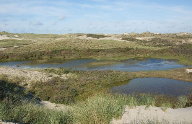 House in Schoorl Near Dunes and Beach - Photo 35
