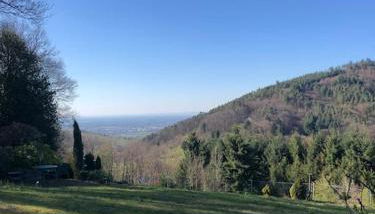 Top ausgestattete Wohnung in Traumlage mit grandioser Aussicht - Foto 2