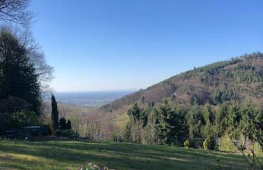 Top ausgestattete Wohnung in Traumlage mit grandioser Aussicht - Foto 2