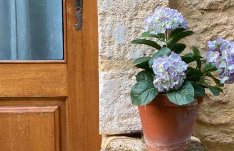 Hameau du Soleil - Papillon - Foto 19