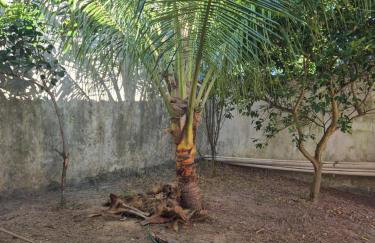 Casa ilha de Itaparica Aratuba 3 - Foto 19