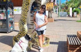 Chale para temporada - Bonito MS - Foto 14