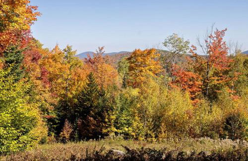 Charming Cabin Rental Perfect for an Adirondack Getaway - Foto 25