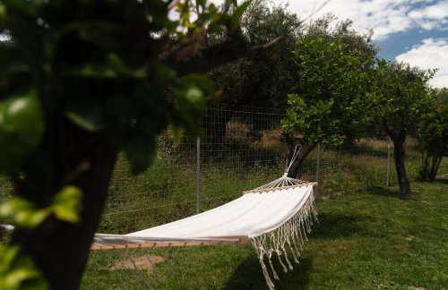 Dimitras Home - Foto 20