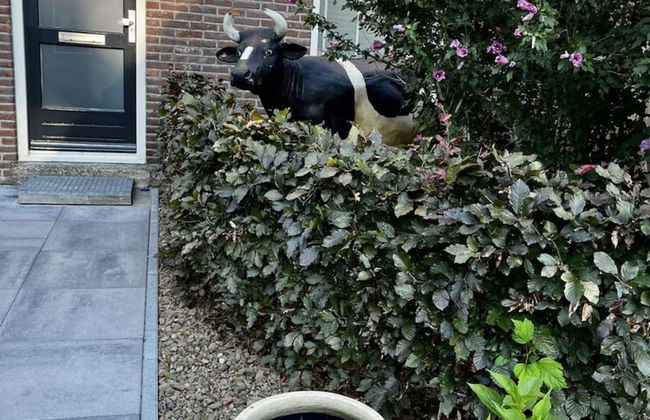 Peaceful Family Home in Elim - Foto 33