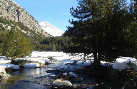 Sisquet Apartaments - Foto 24