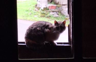 Casa Rural Areano - Foto 97