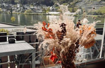 Ferienwohnung Moselflair mit direktem Blick auf die Mosel und Weinberge - Foto 5
