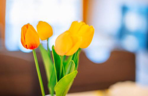 Apartment Spalato - Photo 19