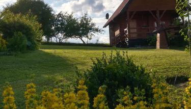 PILGRIM domek gościnny w Gietrzwałdzie na Warmii - Foto 3, Garden view