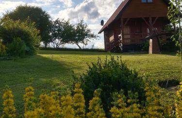 PILGRIM domek gościnny w Gietrzwałdzie na Warmii - Foto 3