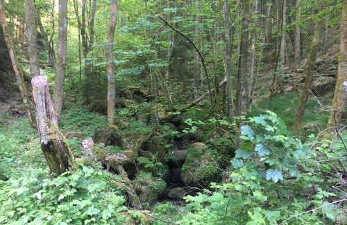 Infinity Two - Foto 24