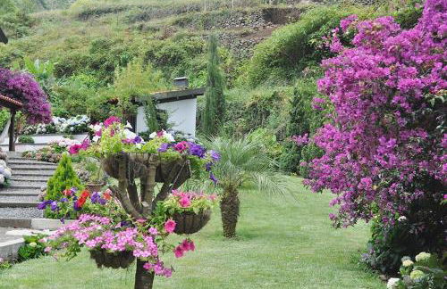 Quinta O Refúgio - Foto 53