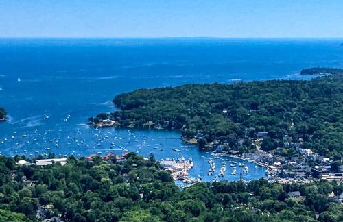 Wiley Cove - Foto 37