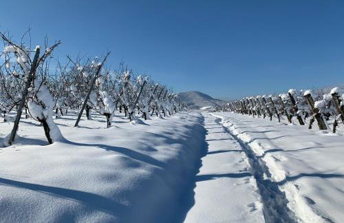 Gîte des Potiers - Foto 21