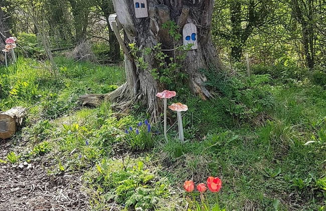 Cosy Escape Heated Luxury pod and hot tub - Foto 25