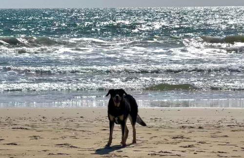 B&B Love - Santa Severa - HOLIDAY HOUSE 1 - Foto 28