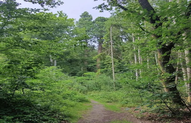 Chalet in Wendorf - Foto 26