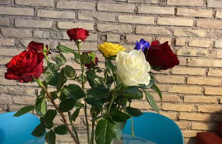 Lilla a Testaccio - Photo 8