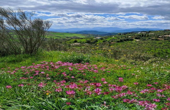 Tranquil Mountain Hideaway - Photo 30