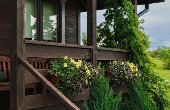 Domek w polu - Foto 3