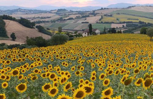 Al Poggio - Photo 29