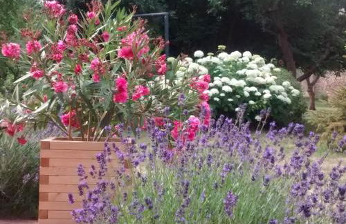 Herberge im "alten Pfarrhaus" in Schmergow am Havel-Radweg - Foto 16