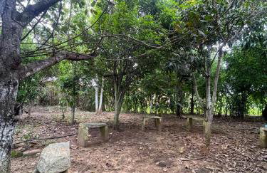 Sítio na Serra de Mulungu - Foto 18