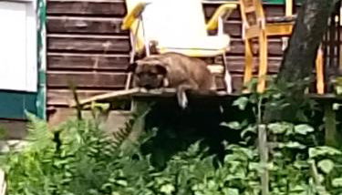 Harz&Herzlich - Foto 5