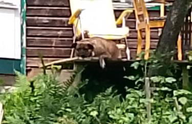 Harz&Herzlich - Foto 5