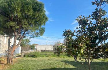 Modern Villa in Lesvos - Photo 5