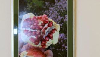 Apartment Calluna - Foto 5