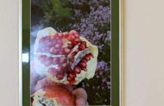 Apartment Calluna - Foto 5