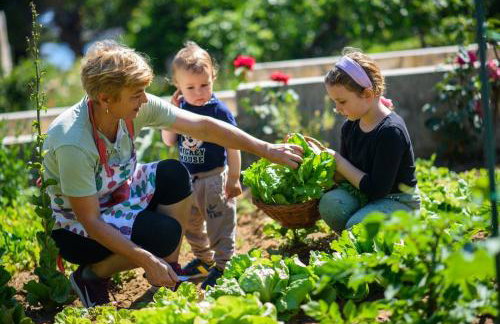 Accomodation STERMASI - Photo 58