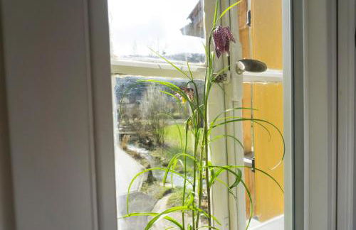 Ferienhaus Gerbertor am Goldbach - Foto 26