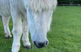 The Beautiful Barn - Foto 38